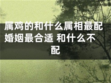 属鸡的和什么属相最配婚姻最合适 和什么不配