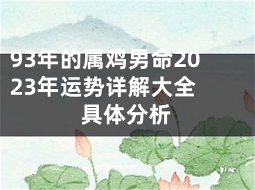 93年的属鸡男命2023年运势详解大全 具体分析