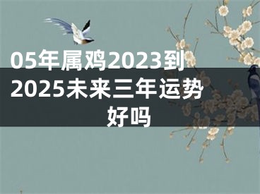 05年属鸡2023到2025未来三年运势好吗