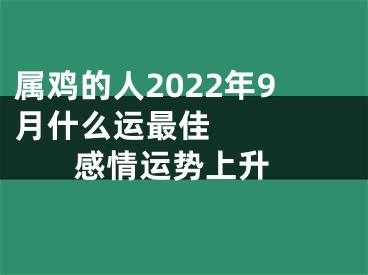 属鸡的人2022年9月什么运最佳     感情运势上升
