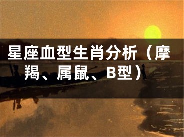 星座血型生肖分析（摩羯、属鼠、B型）