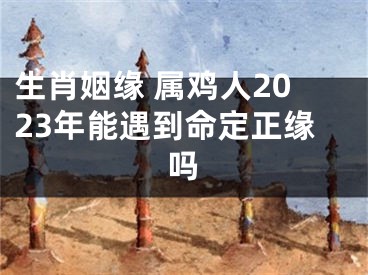 生肖姻缘 属鸡人2023年能遇到命定正缘吗