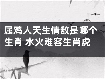 属鸡人天生情敌是哪个生肖 水火难容生肖虎