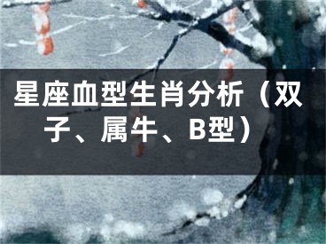 星座血型生肖分析（双子、属牛、B型）