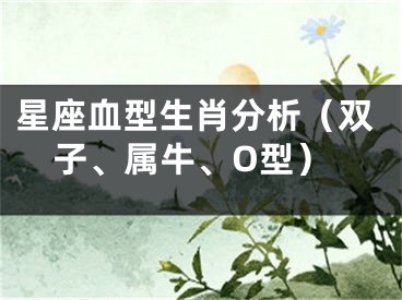 星座血型生肖分析（双子、属牛、O型）