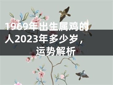 1969年出生属鸡的人2023年多少岁，运势解析