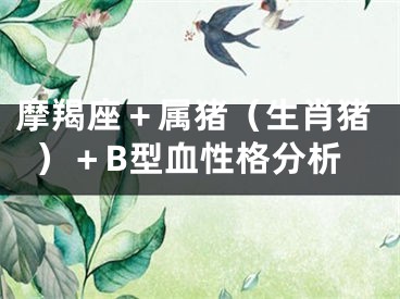 摩羯座＋属猪（生肖猪）＋B型血性格分析