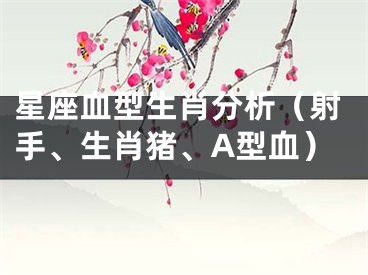 星座血型生肖分析（射手、生肖猪、A型血）