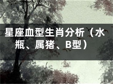 星座血型生肖分析（水瓶、属猪、B型）