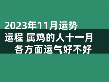 2023年11月运势运程 属鸡的人十一月各方面运气好不好