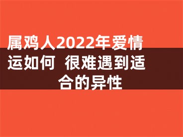 属鸡人2022年爱情运如何  很难遇到适合的异性