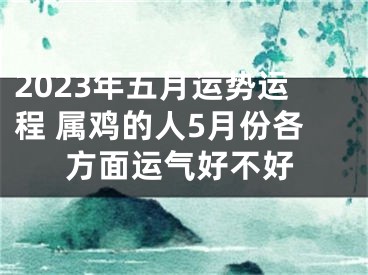 2023年五月运势运程 属鸡的人5月份各方面运气好不好