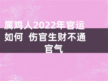 属鸡人2022年官运如何  伤官生财不通官气