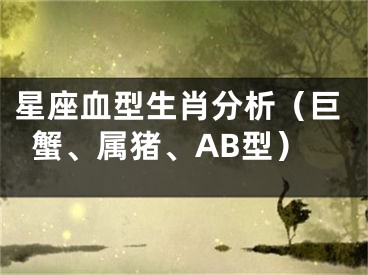 星座血型生肖分析（巨蟹、属猪、AB型）