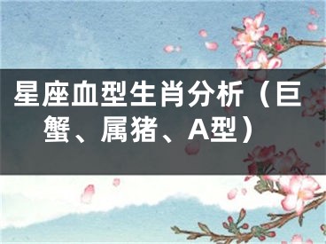 星座血型生肖分析（巨蟹、属猪、A型）