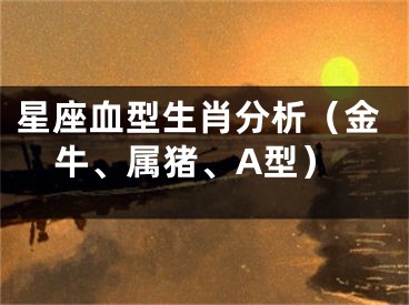 星座血型生肖分析（金牛、属猪、A型）