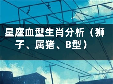 星座血型生肖分析（狮子、属猪、B型）