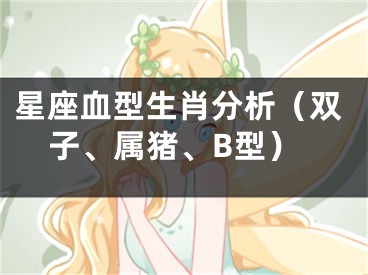 星座血型生肖分析（双子、属猪、B型）
