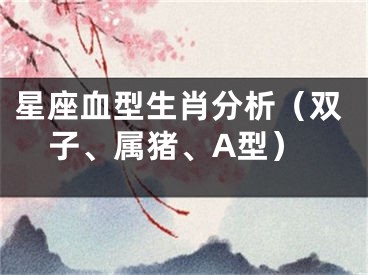 星座血型生肖分析（双子、属猪、A型）