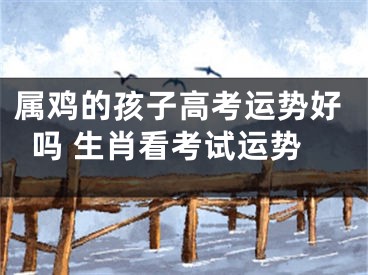 属鸡的孩子高考运势好吗 生肖看考试运势