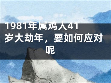 1981年属鸡人41岁大劫年，要如何应对呢 
