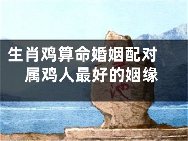 生肖鸡算命婚姻配对 属鸡人最好的姻缘