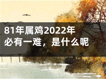 81年属鸡2022年必有一难，是什么呢 