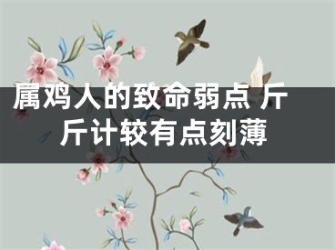 属鸡人的致命弱点 斤斤计较有点刻薄