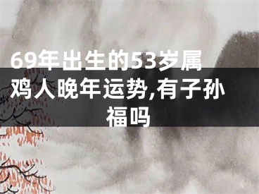 69年出生的53岁属鸡人晚年运势,有子孙福吗