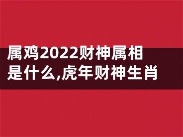 属鸡2022财神属相是什么,虎年财神生肖