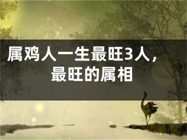 属鸡人一生最旺3人，最旺的属相