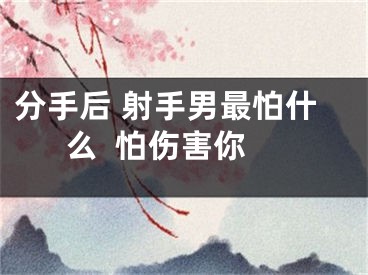 分手后 射手男最怕什么  怕伤害你