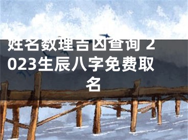 姓名数理吉凶查询 2023生辰八字免费取名