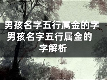 男孩名字五行属金的字 男孩名字五行属金的字解析