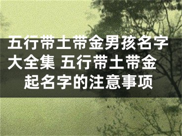 五行带土带金男孩名字大全集 五行带土带金起名字的注意事项