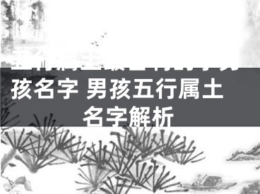 五行属土最吉利的字男孩名字 男孩五行属土名字解析