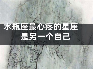 水瓶座最心疼的星座 是另一个自己