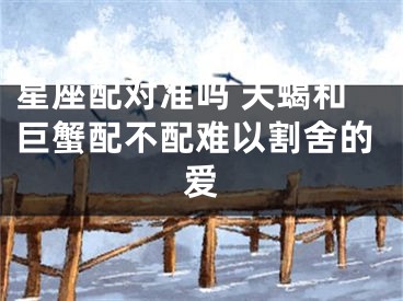星座配对准吗 天蝎和巨蟹配不配难以割舍的爱