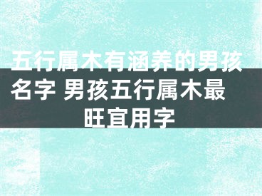 五行属木有涵养的男孩名字 男孩五行属木最旺宜用字