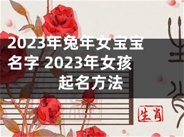 2023年兔年女宝宝名字 2023年女孩起名方法