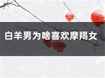 白羊男为啥喜欢摩羯女