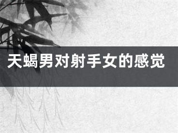 天蝎男对射手女的感觉