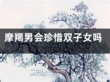 摩羯男会珍惜双子女吗