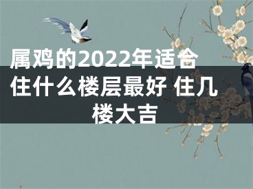 属鸡的2022年适合住什么楼层最好 住几楼大吉