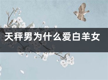 天秤男为什么爱白羊女