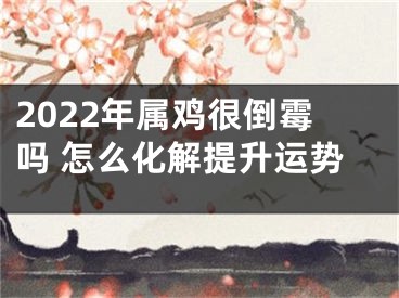 2022年属鸡很倒霉吗 怎么化解提升运势