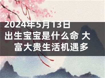 2024年5月13日出生宝宝是什么命 大富大贵生活机遇多