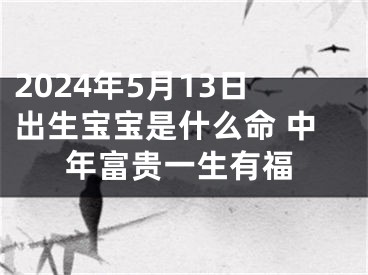 2024年5月13日出生宝宝是什么命 中年富贵一生有福