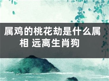 属鸡的桃花劫是什么属相 远离生肖狗
