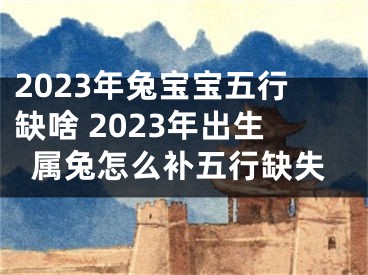 2023年兔宝宝五行缺啥 2023年出生属兔怎么补五行缺失